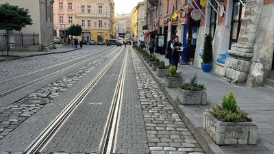 У центрі Львова висаджують ялівець і кипариси