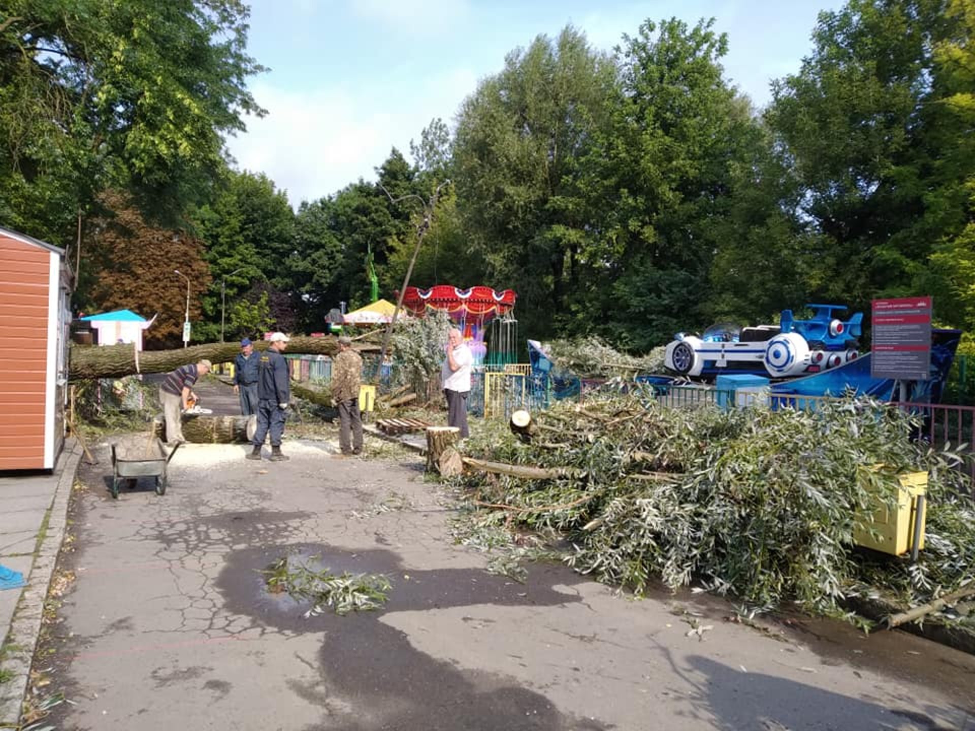 У Львові у парку культури впали дерева, фото із Фб-сторінки парку