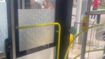 У Львові побили водія тролейбуса (ВІДЕО)