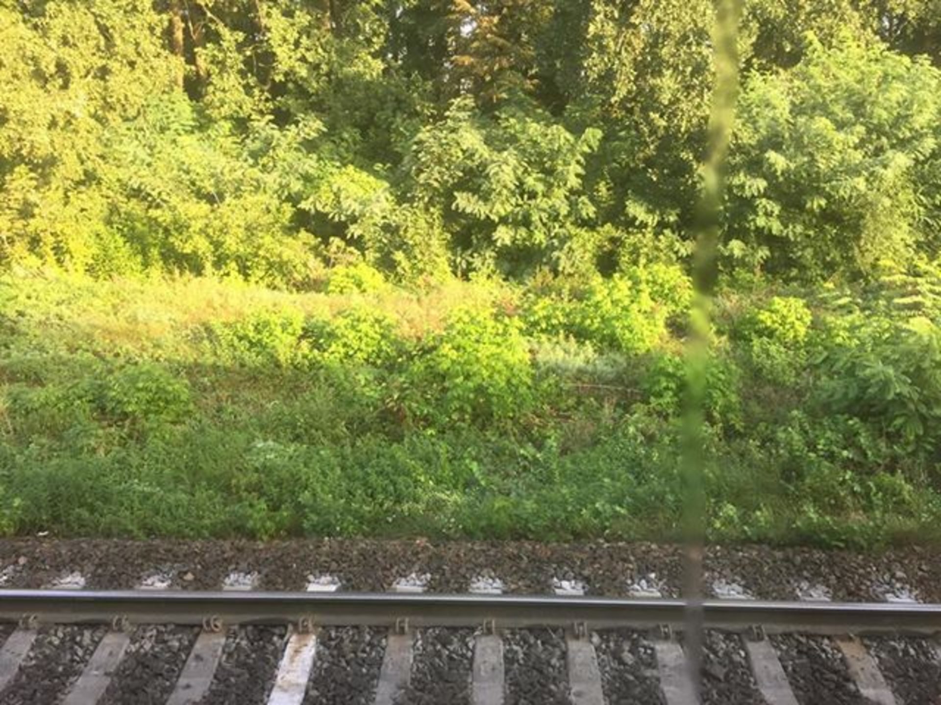 Поїзд "Трускавець - Київ" зупинився серед поля біля Києва. Пасажирам, серед яких багато людей з дітьми і багажем, провідники радять добиратися до маршруток і їхати до столиці. Фото: Олег Довганик