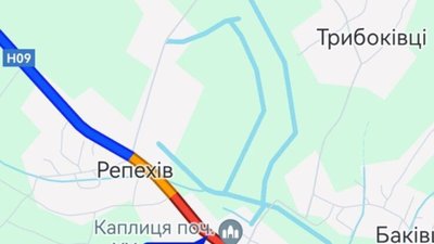 На Львівщині тополя перекрила рух між областями