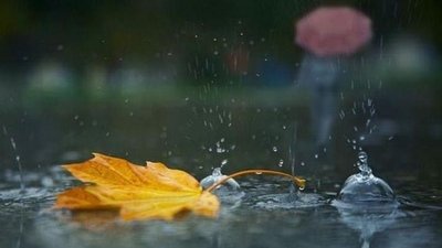 На Львівщині наступний тиждень розпочнеться із заморозків