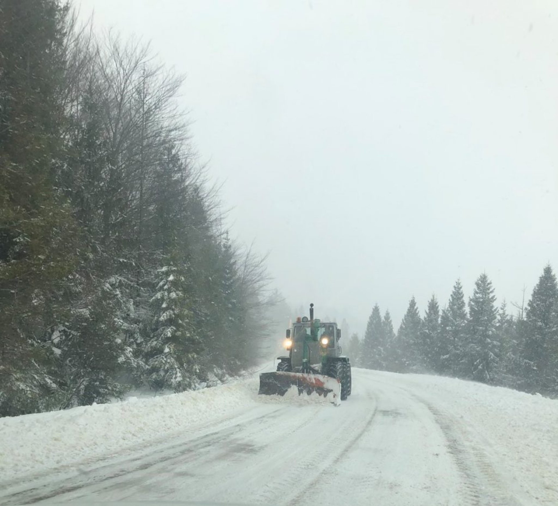 Як у горах на Львівщині красиво лежить сніг. Фото САД Львівщини