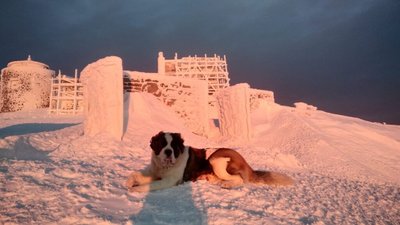 У Карпатах температура повітря опустилася до 17° морозу