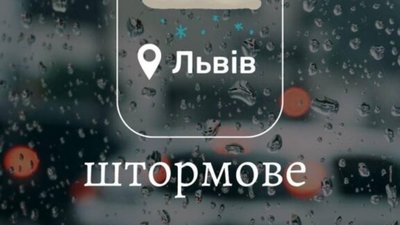 У Львові очікують налипання мокрого снігу