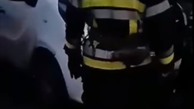 На Львівщині автовласник пожертвував ременем приводу заради порятунку тварини (ВІДЕО)