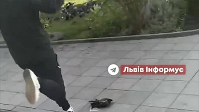 У Львові молодий чоловік знущався із голуба (ВІДЕО)