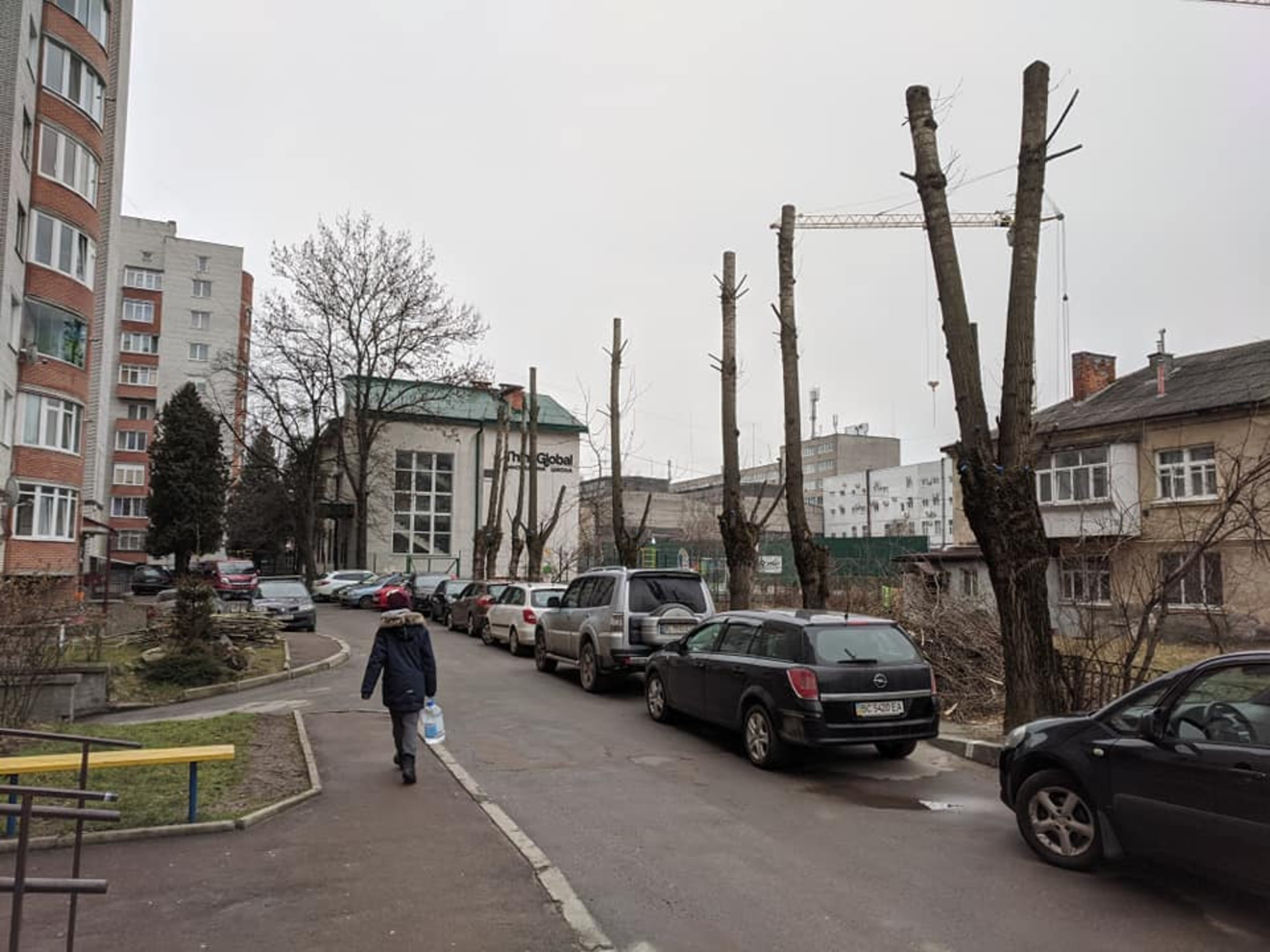 Як у Львові знищили дерева. Фото: Зручне місто.