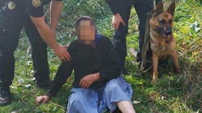 У Миколаївському районі собака-поліцейський допоміг розшукати жінку, яка заблукала в лісі