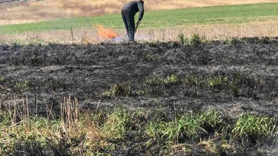 На Львівщині на гарячому впіймали палія трави (ФОТО)