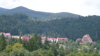 Стали відомі деталі харчового отруєння групи дітей з Львівщини у  відпочинковому таборі в Яремче