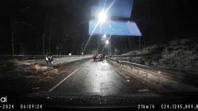 Біля Львова на дорогу впало дерево