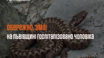 На Львівщині змія вкусила іноземця