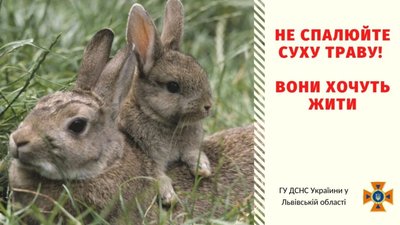 Весна прийшла: на Львівщині палять сухостій (ФОТО)