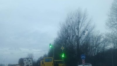 У Львові дві маршрутки потрапили у ДТП (ВІДЕО)