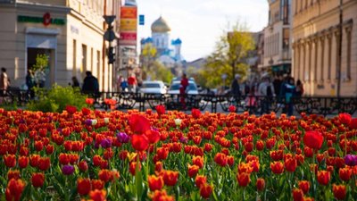 Ужгород вкрився цвітом 30 тисяч тюльпанів (ФОТО)