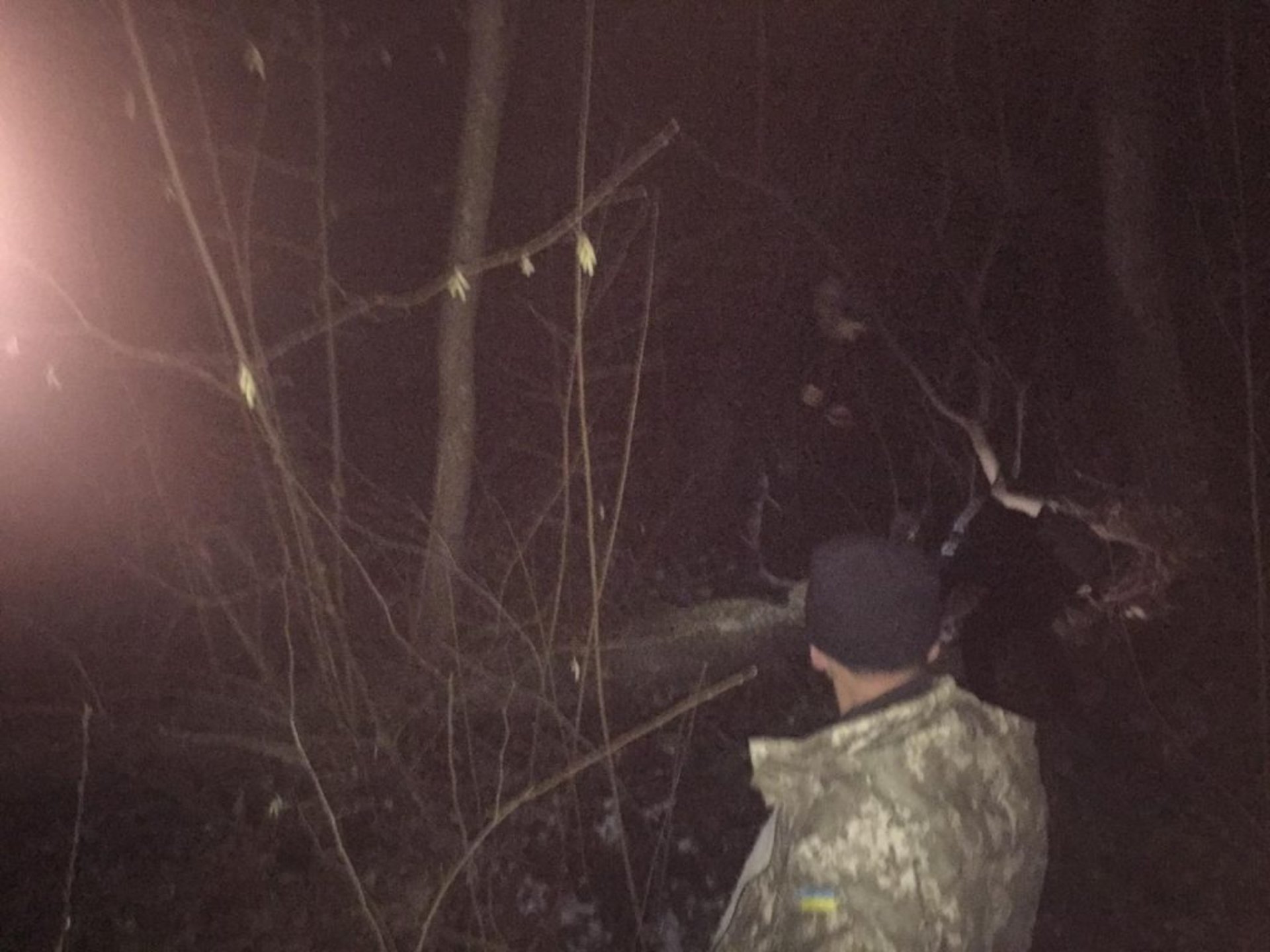 На Сокальщині виявили та припинили незаконну порубку дерев. Фото ГУ НП Львівщини