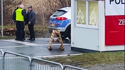 На кордоні з Польщею відновили протест (ФОТО)