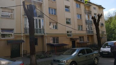 У Львові дерева перетворили в опору для кабелів (ФОТО)