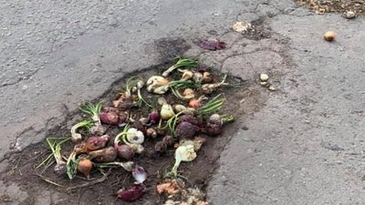 На Львівщині ями на дорозі засипали овочами (ФОТО)