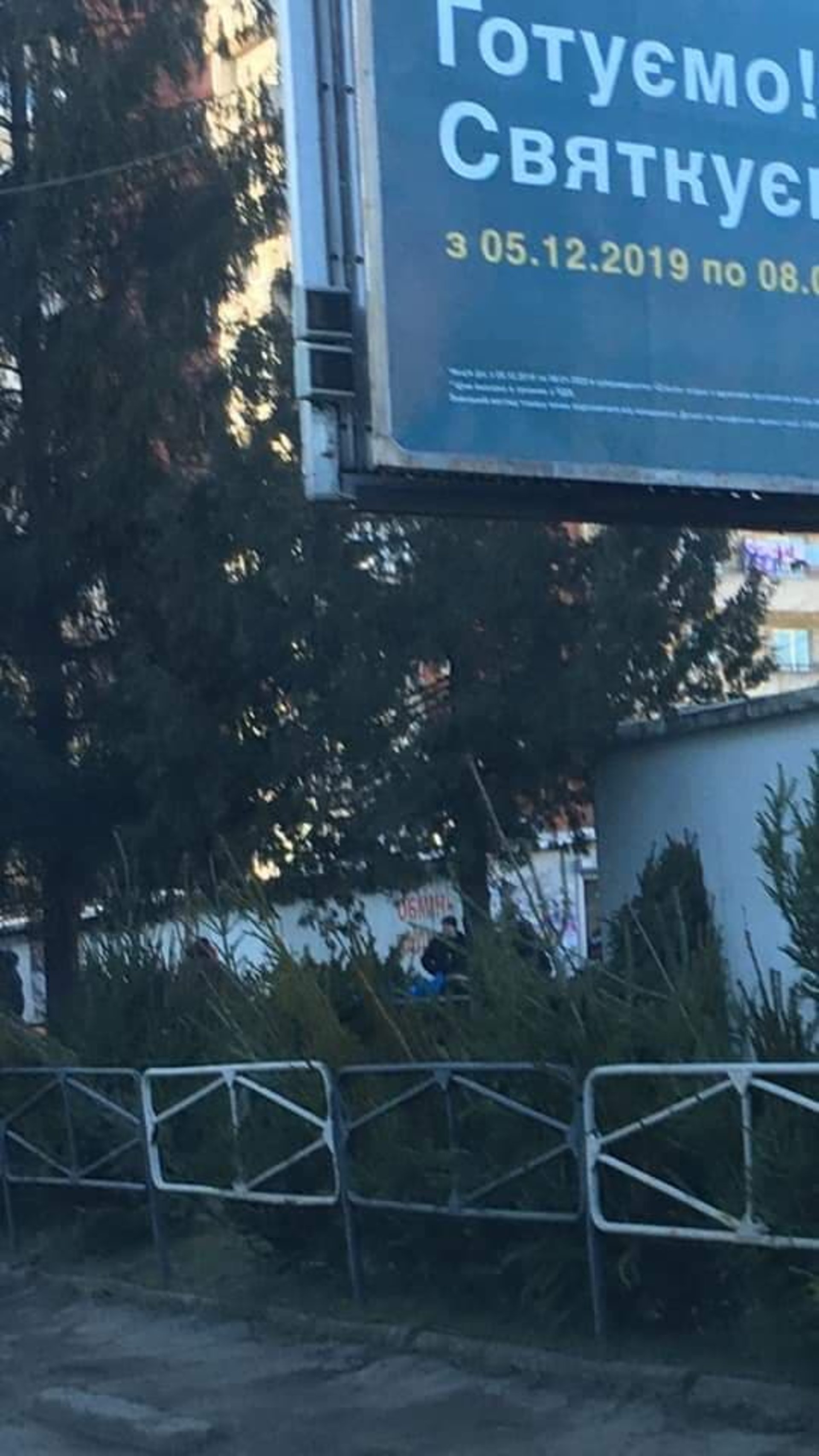 У Львові біля стихійного ринку викинули кількадесят непроданих ялинок. Фото Олександр Алексєєв