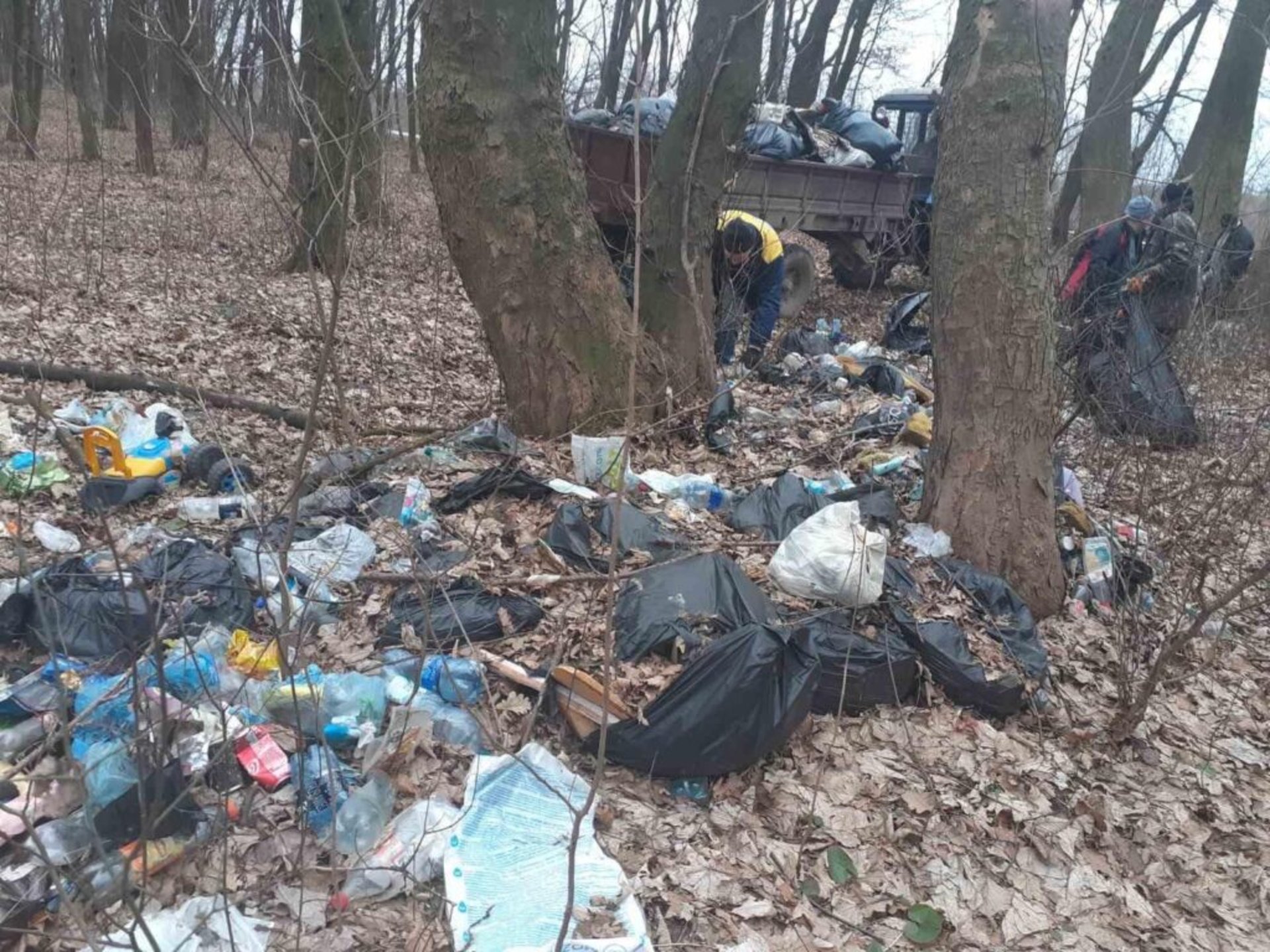 Лісівники у ДП «Львіський лісгосп» спільно з небайдужими мешканцями прибрали у лісі