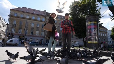Стало відомо, скільки голубів літає вулицями Львова