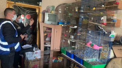 У Києві матір тримала 5-річну доньку під замком із 10 собаками