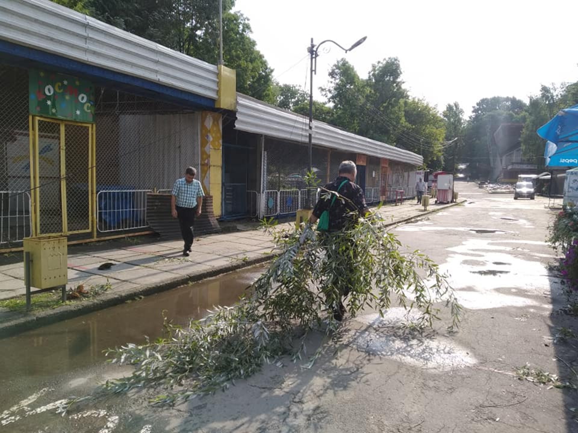 У Львові у парку культури впали дерева, фото із Фб-сторінки парку