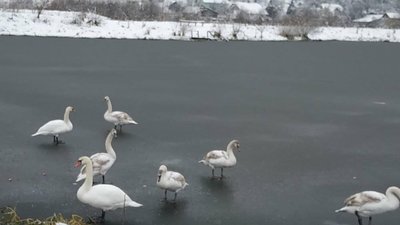 На Львівщині припинено протиправне використання земель водного фонду