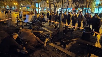 Садовий наразі не виділив коштів на лікування дівчини, яка постраждала від коней у Львові