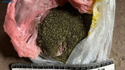 На Стрийщині місцевого мешканця взяли під варту