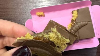У Львові продають шоколадні батончики з хрусткими їстівними личинками