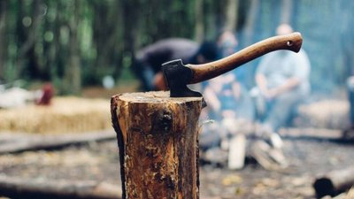 В Україні – ажіотаж на ринку дров