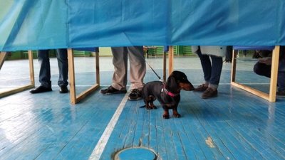Як львів’яни разом із друзями заходять у кабінки для голосування (ФОТО)