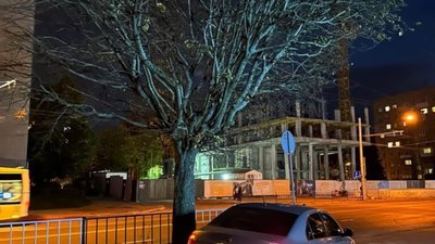 У Львові водій запаркував автомобіль під дерево (ФОТО)