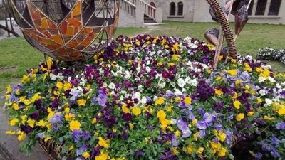 У Львові на вулиці Личаківській облаштували квітковий кошик (ФОТО)