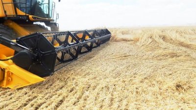 Негода не стала на заваді: на Львівщині зібрали урожай озимого ячменю та ріпаку
