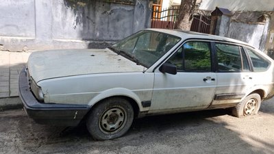 У Львові у покинутому автомобілі поселились щурі (ФОТО)