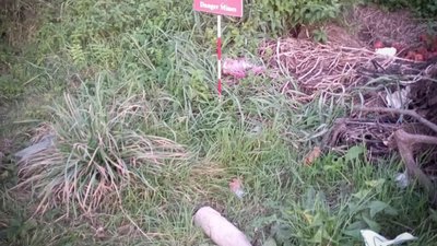 На Дрогобиччині в полі натрапили на застарілий боєприпас