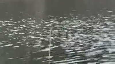 У елітному селі біля Львова спустили озеро (ВІДЕО)