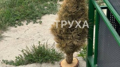 У Львові на Сихові невідомий викинув ялинку