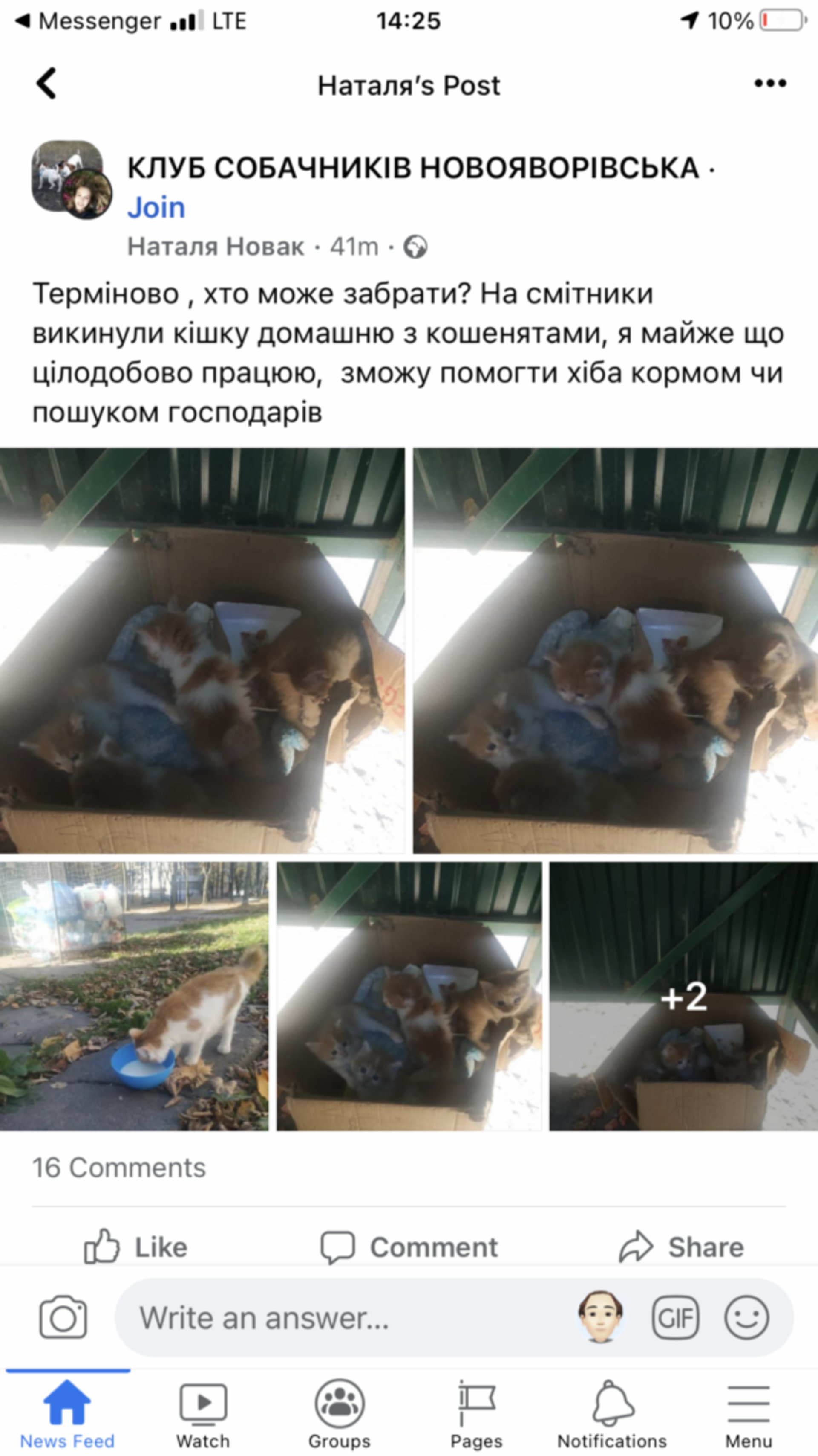 Скрін повідомлення