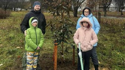 У Львові у одному районі висадили понад 60 нових дерев