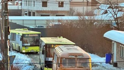 Біля Львова автомобіль не розминувся із стовпом