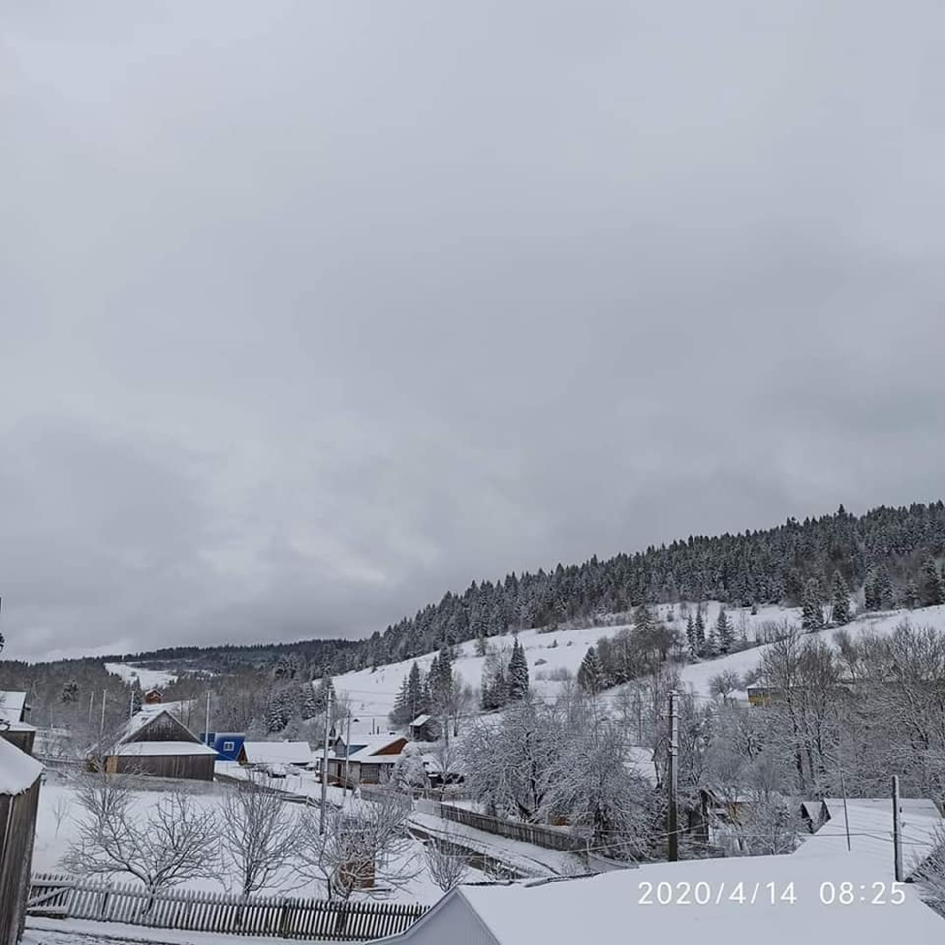 Фото: ФБ/Василь Чорний