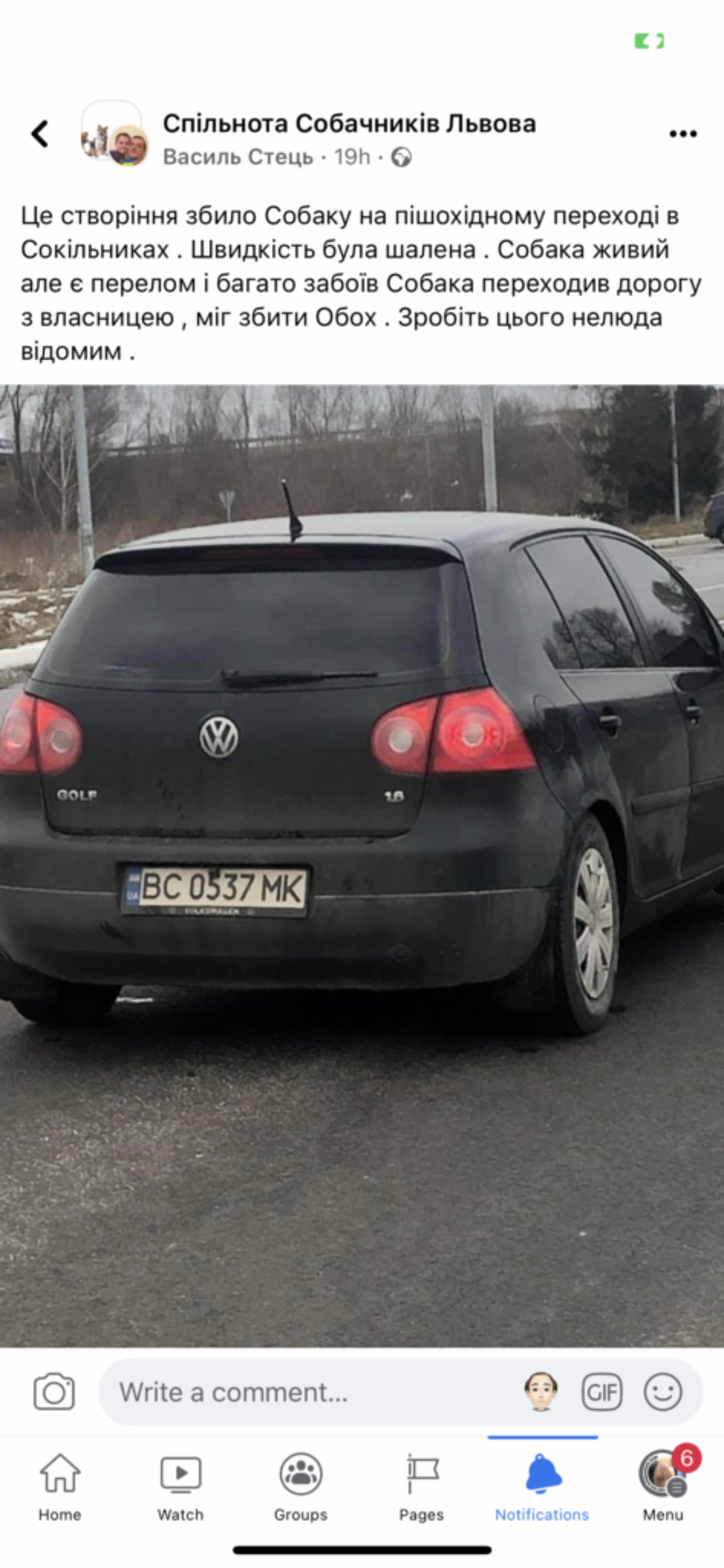 Біля Львова автомобіль на пішохідному переході збив собаку, скрін допису