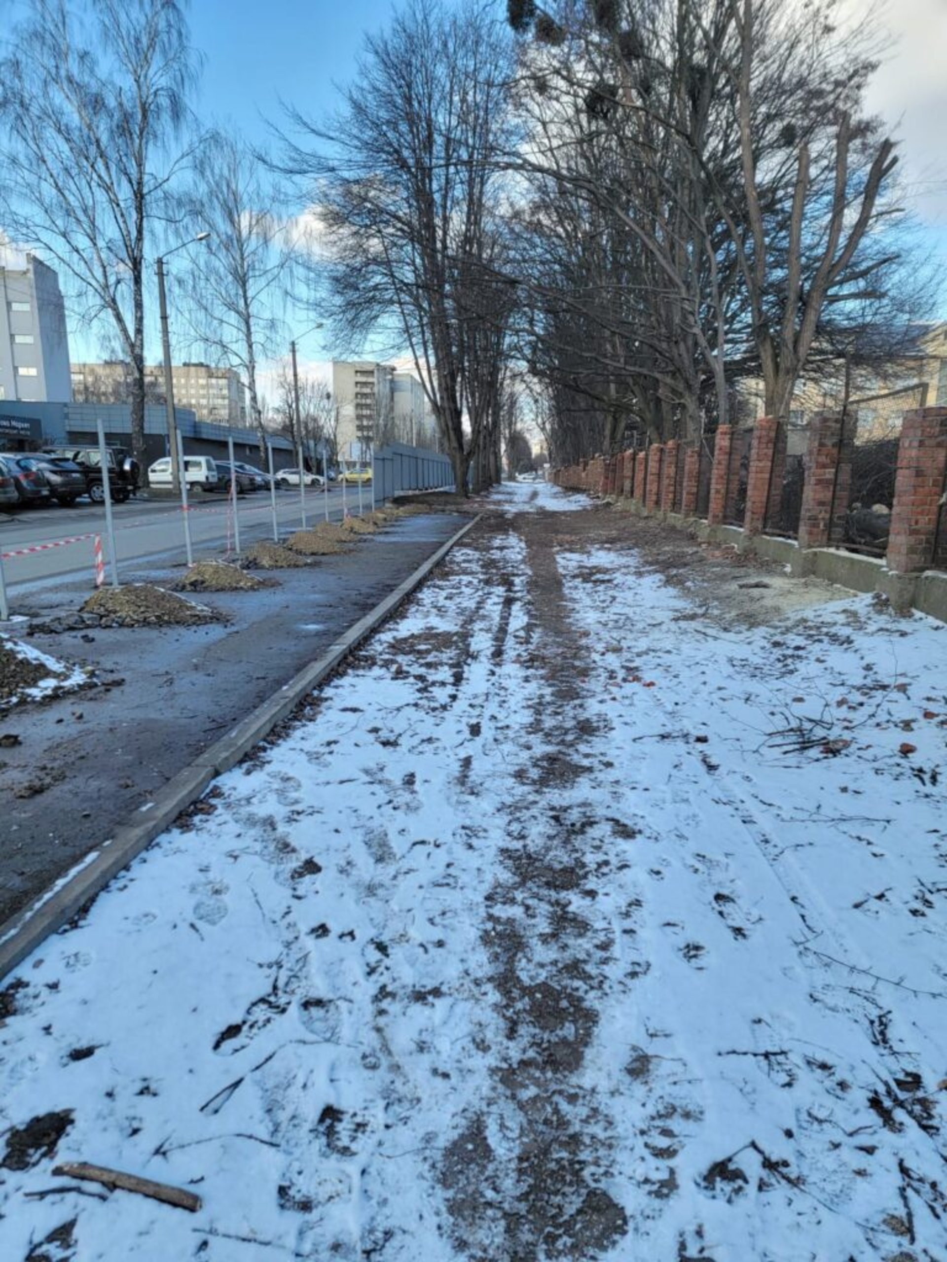У Львові на місці скандального будівництва зрізали дерева, фото Четверта студія