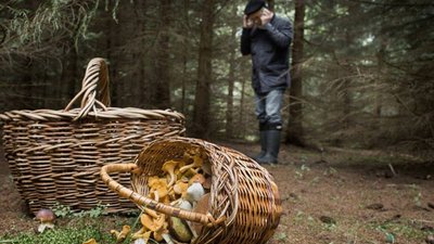 На Львівщині знайшли зниклого грибника, пошуки іншого тривають третю добу (ФОТО)