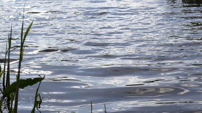 На Львівщині 10 дітей госпіталізували з гострою кишковою інфекцією